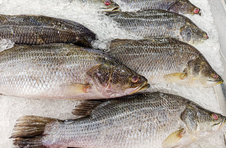 fish on ice display at fresh market Used for cooking