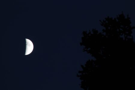 Half Moonの写真素材