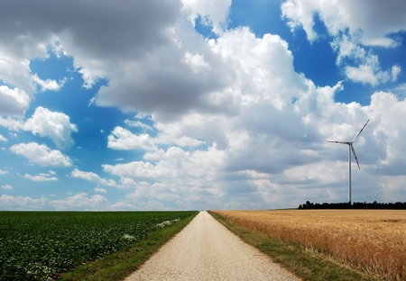 Countryside unpaved road between the fieldsの写真素材