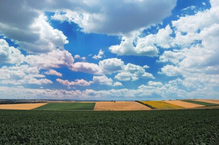 A scenic view of several farming fields