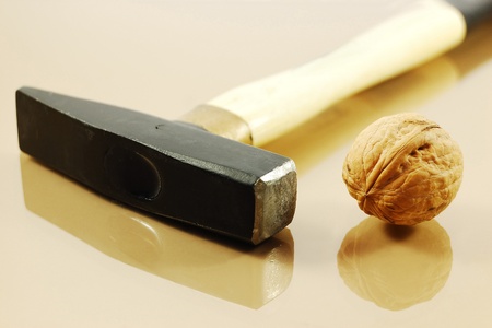 Walnut and hammer on reflective surface. Tough nut to crack concept.の写真素材