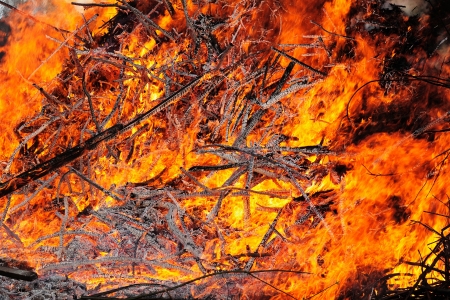 Flame texture  Fire from large heap of burning wood 