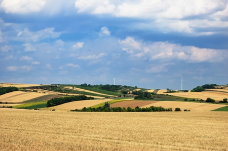 A scenic view of several farming fields under cloudy sky