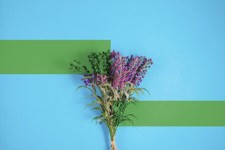 Lavender flowers on a pastel color background with the decorative graphics