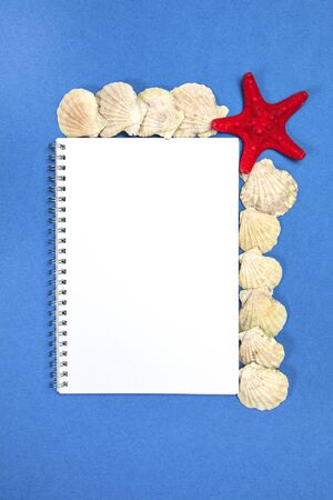 Starfish and seashells on a blue background with white plank pageの写真素材