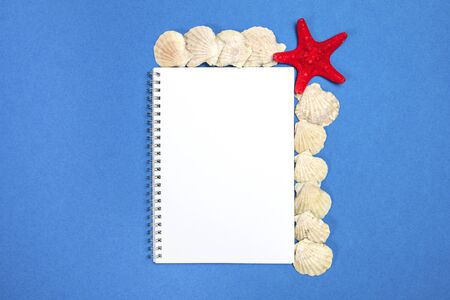 Starfish and seashells on a blue background with white plank pageの写真素材