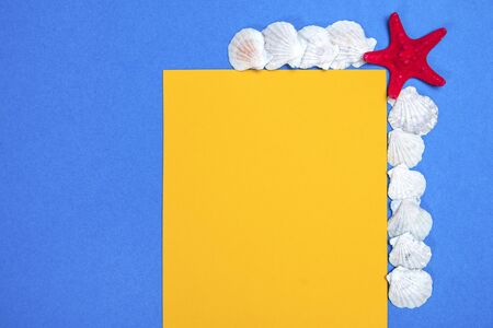 Starfish and seashells on a yellow and blue backgroundの写真素材