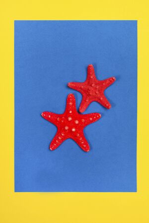 Red starfishes on a blue and yellow backgroundの写真素材