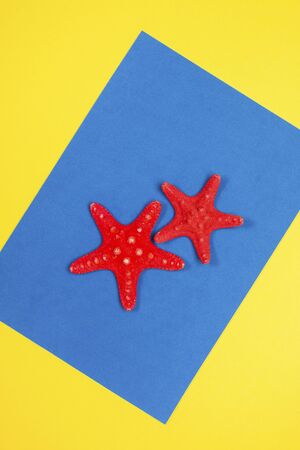 Red starfishes on a blue and yellow backgroundの写真素材