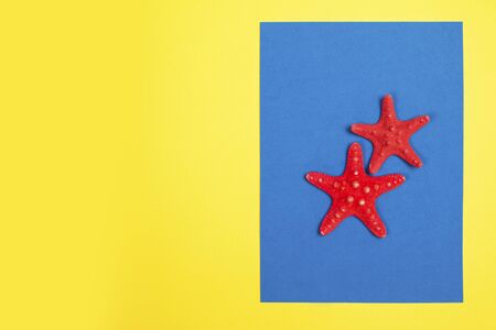 Red starfishes on a blue and yellow backgroundの写真素材