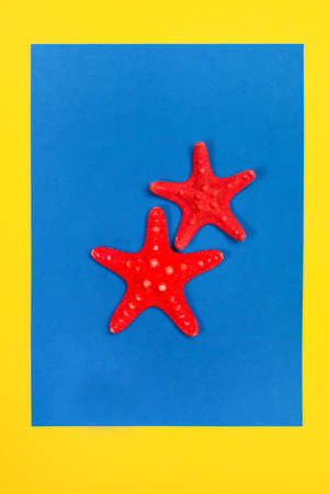 Red starfishes on a blue and yellow background with the text Summer Timeの写真素材
