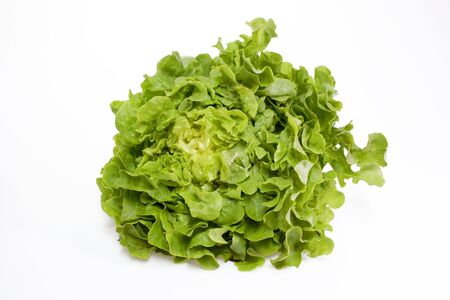Fresh green salad on birhgt backgroundの写真素材