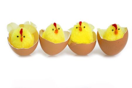 Just hutched yellow chicken, eggs and eggshellの写真素材