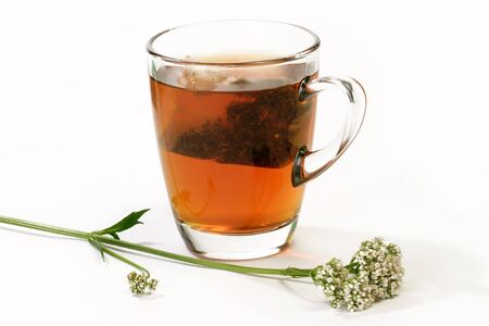Herbal tea in a glass with teabag and valerian on bright backgroundの写真素材