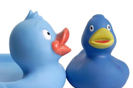 Blue rubber ducks bath toy on white backgroundの写真素材