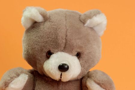 Cute stuffed animal on orange backgroundの写真素材
