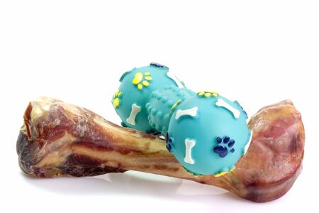 Smoked dog bones on bright background. Studio shot.