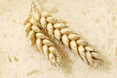 Two wheat ears on a toast sliceの写真素材