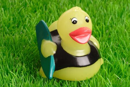 Yellow toy duck as surfer on green grass backgroundの写真素材