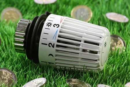 Radiator thermostat with euro coins on grass meadow