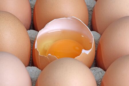 Brown eggs in detail on a tray