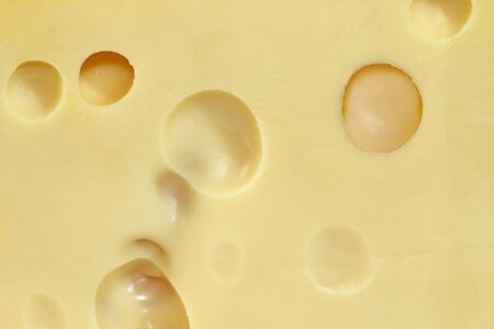 Fresh cheese froma Switzerland with Holes.の写真素材