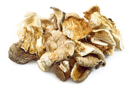 Dried asia mushrooms in Detail. Shot in studio.の写真素材