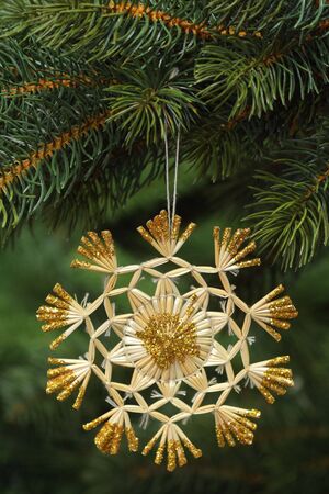 Decorative straw star on green backgroundの写真素材