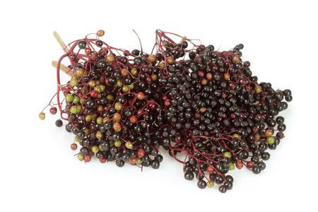 Closeup detail of ripening elderberries on a white の写真素材