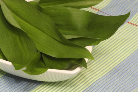 Fresh wild garlic herbs on beautiful dishwareの写真素材