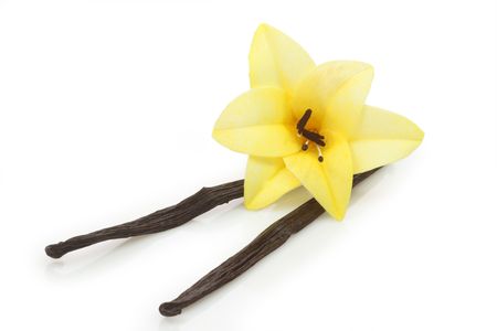Well dried vanilla beans on white backgroundの写真素材
