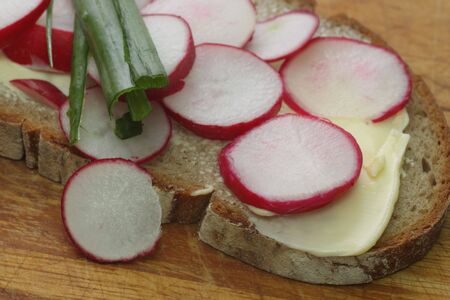 Fresh radish bread with spring leek as backgroundの写真素材