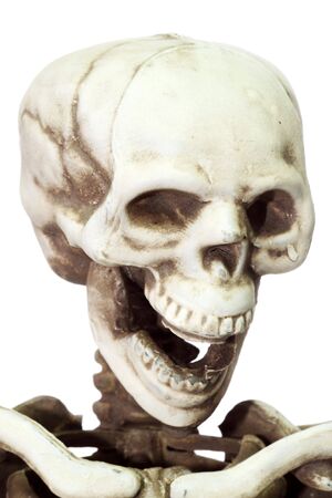Halloween skeleton on white background
の写真素材