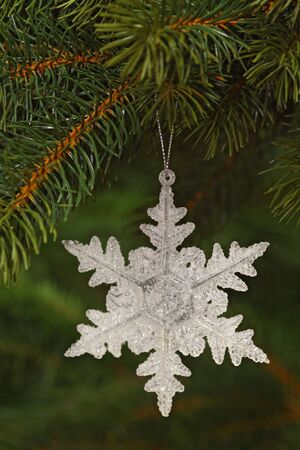 Decorative chrismas star isolated on green backgroundの写真素材