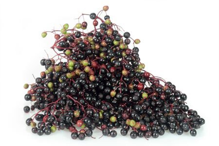 Closeup detail of ripening elderberries on a white の写真素材