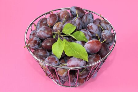 Fresh plums in a bowl. Shot in studio.の写真素材
