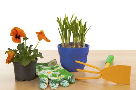 Flowerpots with garden tools isolated on white backgroundの写真素材