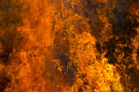 Outdoor burning fire and open flame. Black-orange background. 