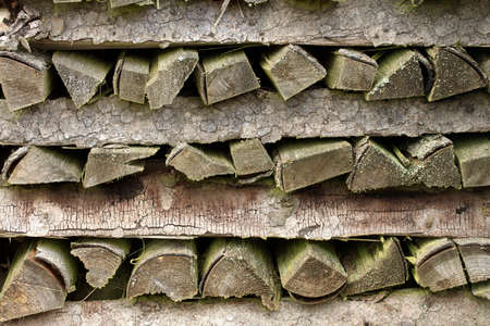 Old Stacked firewood in Detail