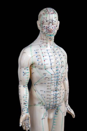 Acupuncture Model isolated on black backgroundの写真素材