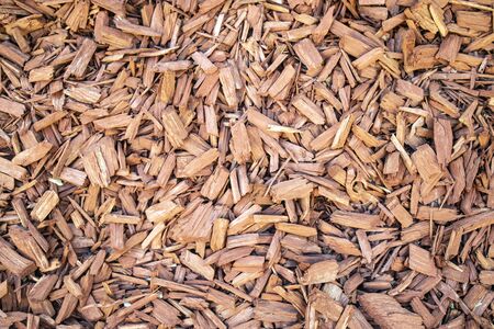 Shredded Bark Mulch in Detail Full Frame as Backgroundの写真素材