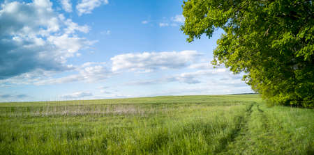 Panorama from idyllic meadows on countryside in springtime, hesse germanyの写真素材