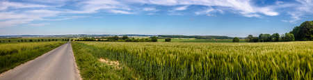 Beautiful panorama from green agricultural meadows with trees in hesse, Germany.の写真素材
