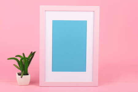 Decorative pink wooden picture frame and cactus over pink backgroundの写真素材