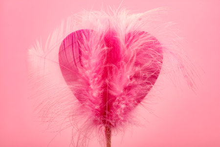 Decorative Heart with soft Feathers on pink backgroundの写真素材