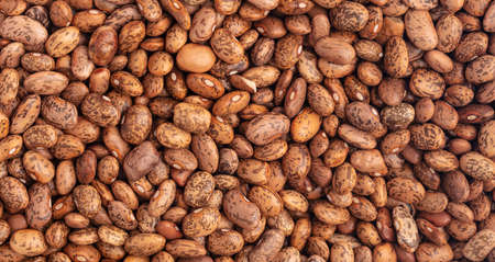Panorama from Pinto Beans from above full Frame as Backgroundの写真素材