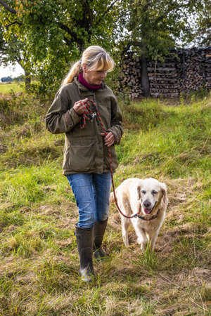 Dog trainer trains a golden retriever on a meadow in autumn.の写真素材
