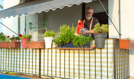 Man watering herbs on the balcony on a sunny dayの写真素材