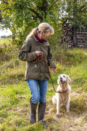Dog trainer trains a golden retriever on a meadow in autumn.の写真素材