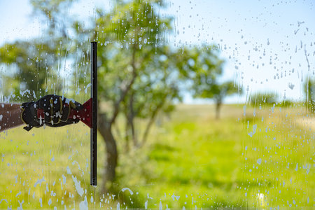 Professional window cleaning service with squeegee on a sunny dayの写真素材